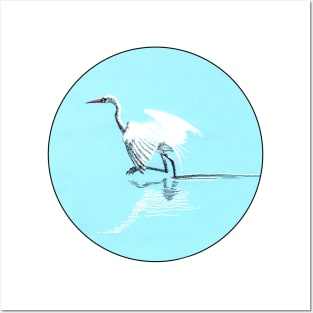 Egret in water Posters and Art